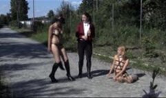 Ponygirl Training - mp4 1080p