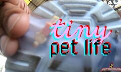 Giantess Crew – CJ – Tiny Pet Life