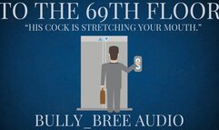 To The 69th Floor Audio