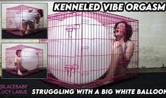 Kenneled Vibe Orgasm Struggling with a Big White Balloon