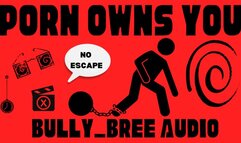 Porn Owns You Audio