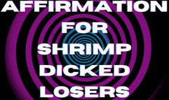 ** AFFIRMATION FOR SHRIMP DICKED LOSERS ( looped version ) **