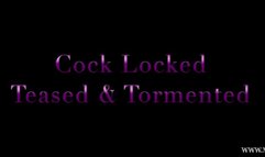 Cock Locked Teased and Tormented