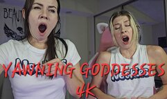 YAWNING GODDESSES! 4K