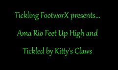 Ama Rio Feet up High Tickled by Kitty's Claws