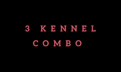 3 Kennel COMBO