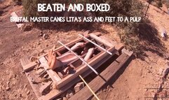 Beaten and Boxed featuring Bastinado, Humiliation, BDSM, Extreme Domination, Gagged Women, Caning, Golden Showers, Outdoors with Brutal Master and Lita Lecherous