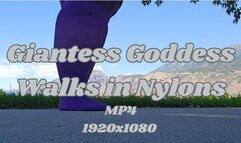 SSBBW Giantess Goddess Rachet Rachel Walks in Nylons Outside and Weighs In MP4 1920X1080