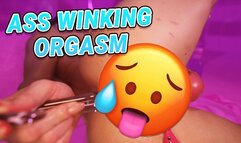 Ass Winking Orgasm