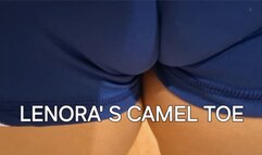 Big Pussy - CAMEL TOE- 3 angles - Lenora Feet