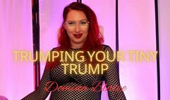 Trumping Your Tiny Trump: A Dominatrix's Comedy Roast