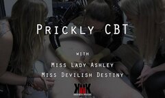 Prickly CBT with Miss Lady Ashlry and Miss Devilish Destiny