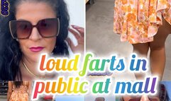 loud farts on public in moll