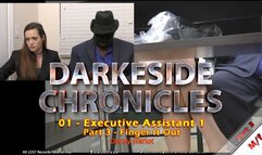 Darkeside Chronicles 01 - Executive Assistant 1 - Part 3