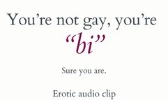 You're Not Gay, You're Bi