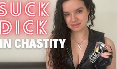 Suck Dick in Chastity