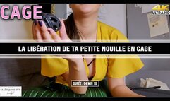 La libération de ta petite nouille en cage 4K