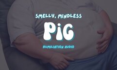 Smelly, Mindless Hog || Humiliation Audio