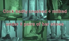 Cock badly crushed and milked under 6 pairs of her shoes - VD 09