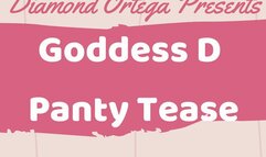 Goddess D Panty Tease