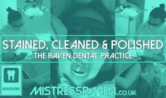 [939] Stained Cleaned and Polished The Raven Dental Practice