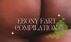 Amateur Ebony Fart Compilation #1