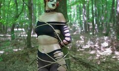 Submissive bdsm adventures in the forest