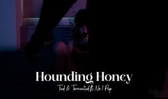 Tied & Tormented - Multiple Orgasms with Your Darling Honey