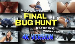 Last Bug Hunt 4K