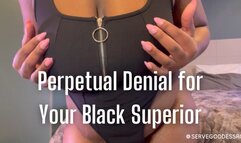 Perpetual Denial for Your Black Superior: BNWO slave training edging JOI - Royal Ro ebony femdom interracial domination hd mp4 1080p