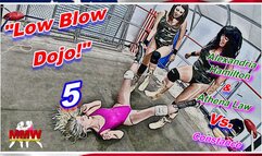 Low Blow Dojo! 5 WMV