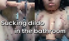 Sucking Dildo In The Bathroom