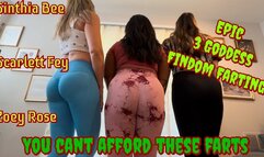 You Cannot Afford Our Farts (POV Findom)