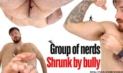 Group of nerds shrunk by bully