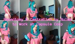 Penectomy & Castration by Bulma to Work at Capsule Corp