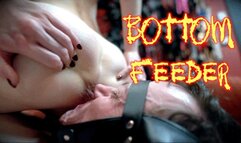 Bottom Feeder (HD 1080P MP4)