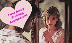 Your First Sissy Training Assignment