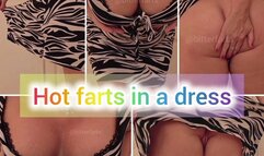 Hot farts in a sundress