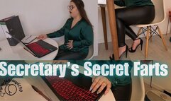 Bubbly Fart Blasts: Secretary's Secret Stinkers