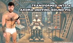 Transformed into a aroma sniffing bound pig