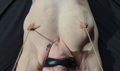 Misty Rein Bondage Orgasms Unedited FULL VIEW