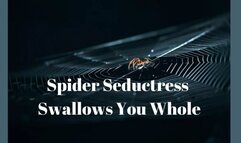 Spider Seductress Swallows You Whole - Extreme Erotic Vore Mind Melt