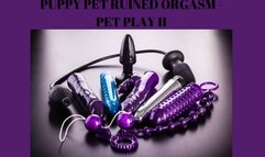 PUPPY PET RUINED ORGASM - PET PLAY II [Puppy] [Pup Play] [Human Pup Fantasy] Mind Melt