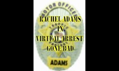 VIRTUAL ARREST GONE BAD avi