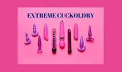 EXTREME CUCKOLDRY - Cuckolding Programming [Cuckold] [Cuck] [Cuckold Training] Cuckolding Mesmerize Audio