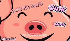 Cash pig says Oink