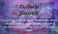 Clown Shoes