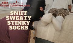 Sniff My Stinky Sweaty Socks HD