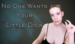 Nobody Wants Your Little Dick