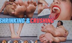 Shrinking fetish crushing the city